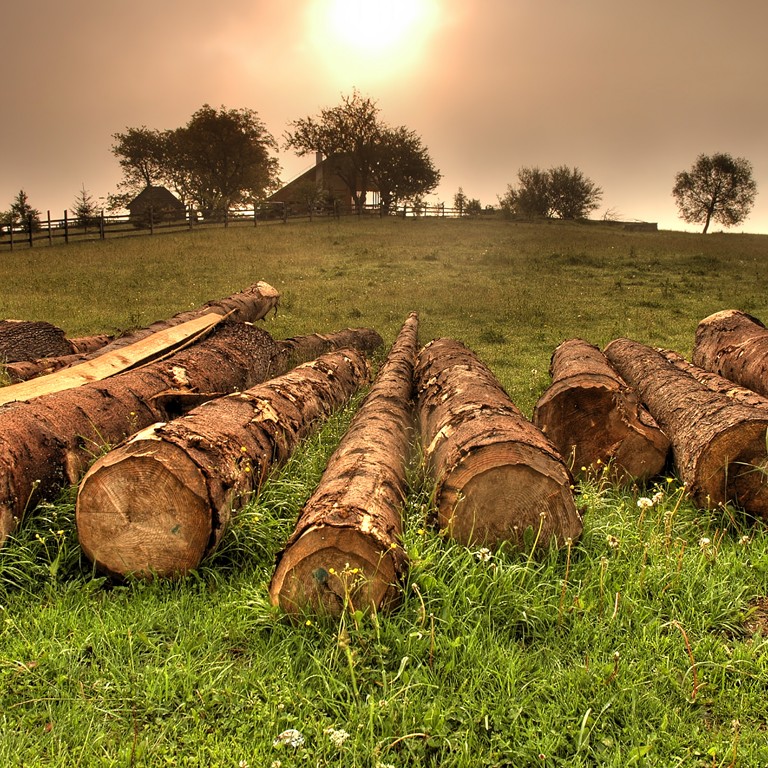 Certificazione PEFC - Della Catena di Custodia (Chain Of Custody)