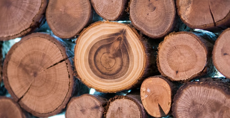 Un convegno dedicato al Regolamento EUTR per le imprese del settore legno